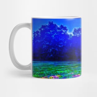 Colorful Field at Sunset Mug